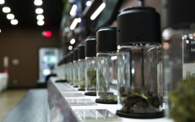 Cannabis Brand Consistency: Why Consistent Branding Matters Across Your Cannabis Product Line