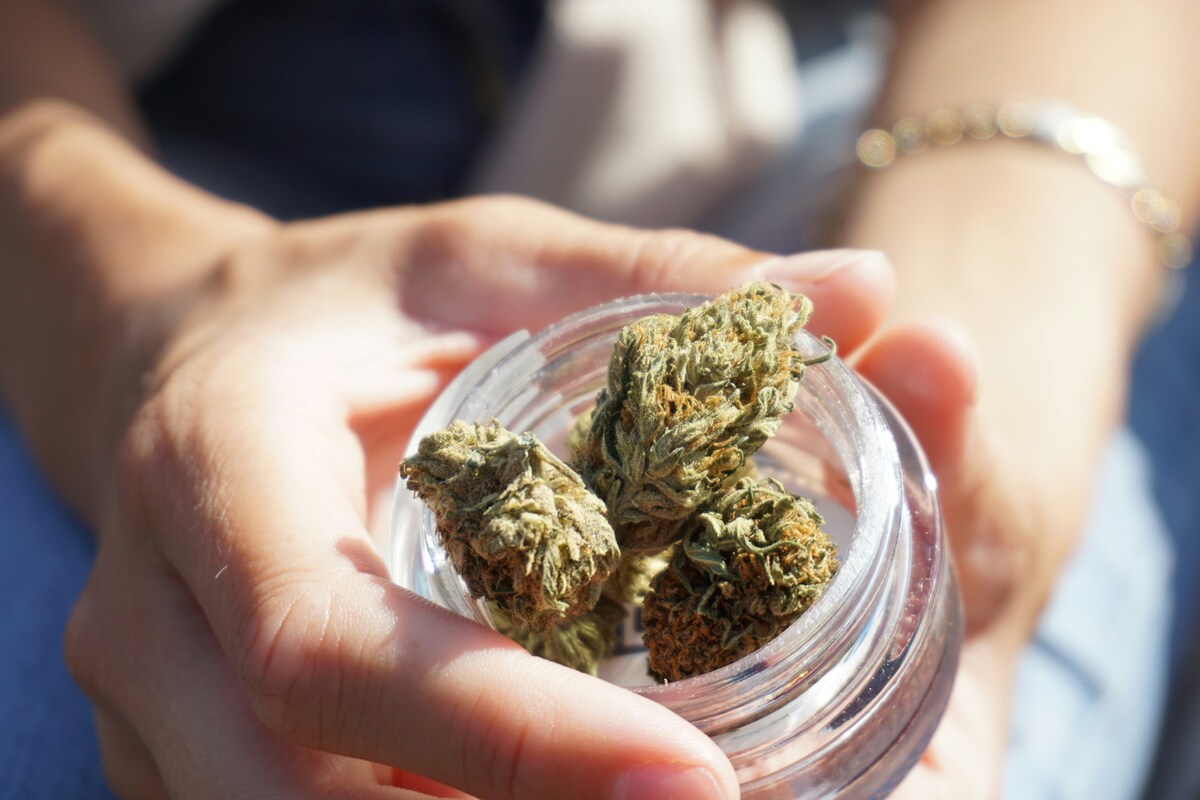 Cannabis Packaging Redesigns That Work