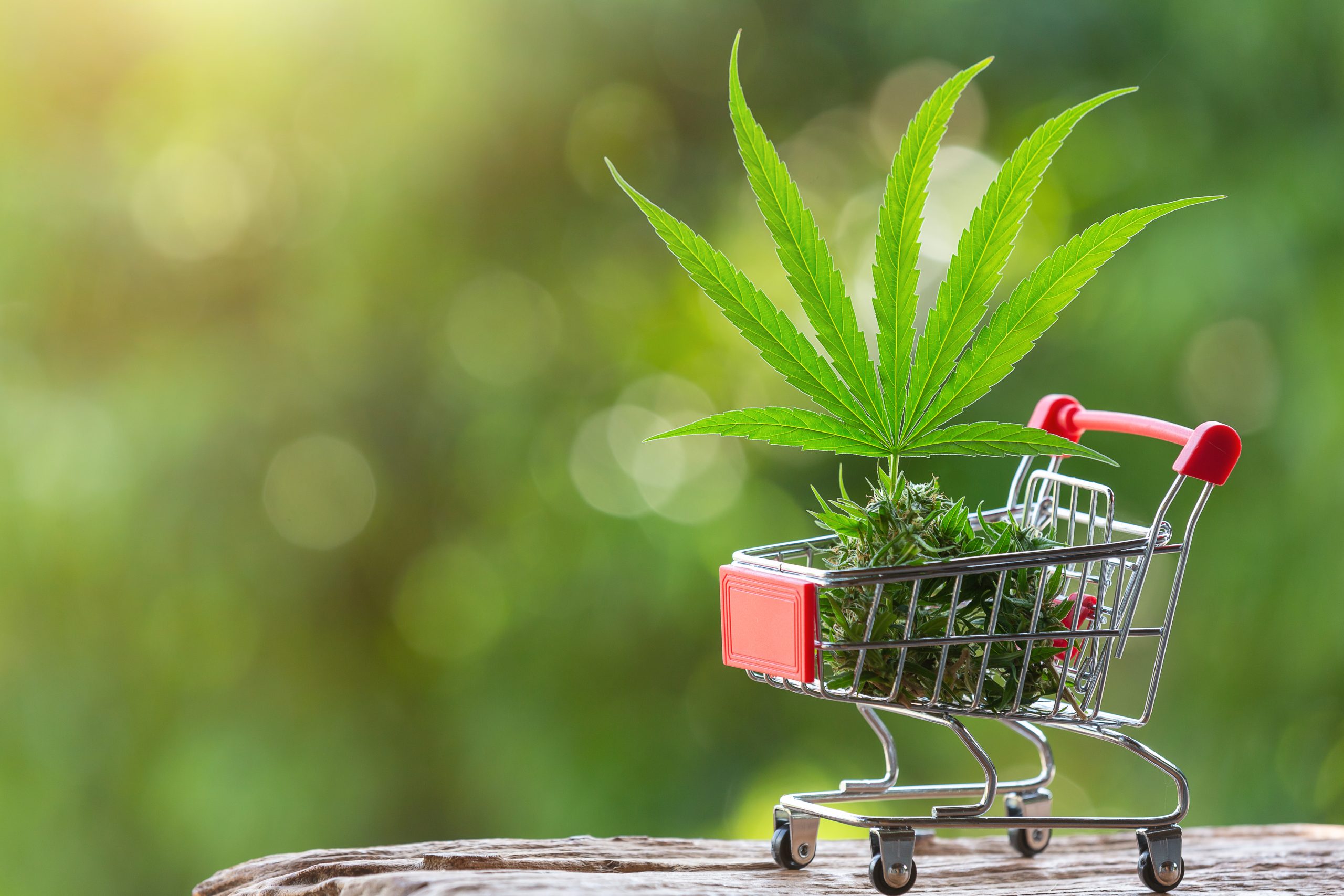 Trusted Cannabis Packaging Company Supplier
