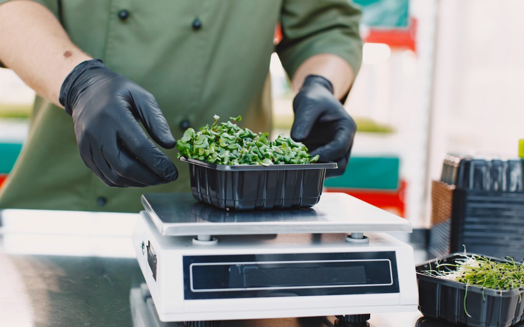 Custom Mylar Bags and Cannabis Packaging Solutions From a Trusted Manufacturer