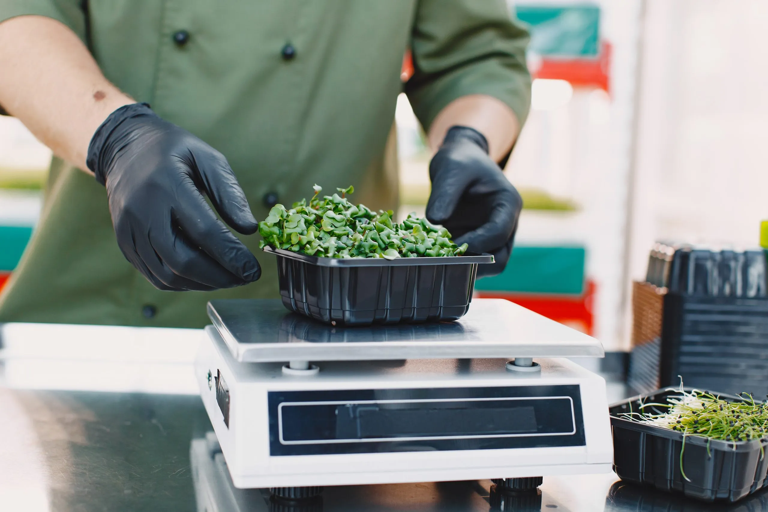 Cannabis Packaging Manufacturing Company Cannabis Packaging Manufacturing Company